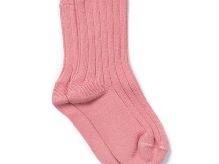 BONTON Pink Sokker Rib Cheap